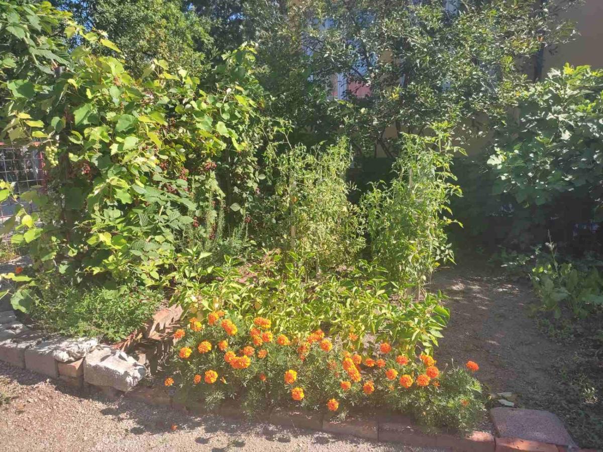 Apartman Hujic Διαμέρισμα Bihać Εξωτερικό φωτογραφία